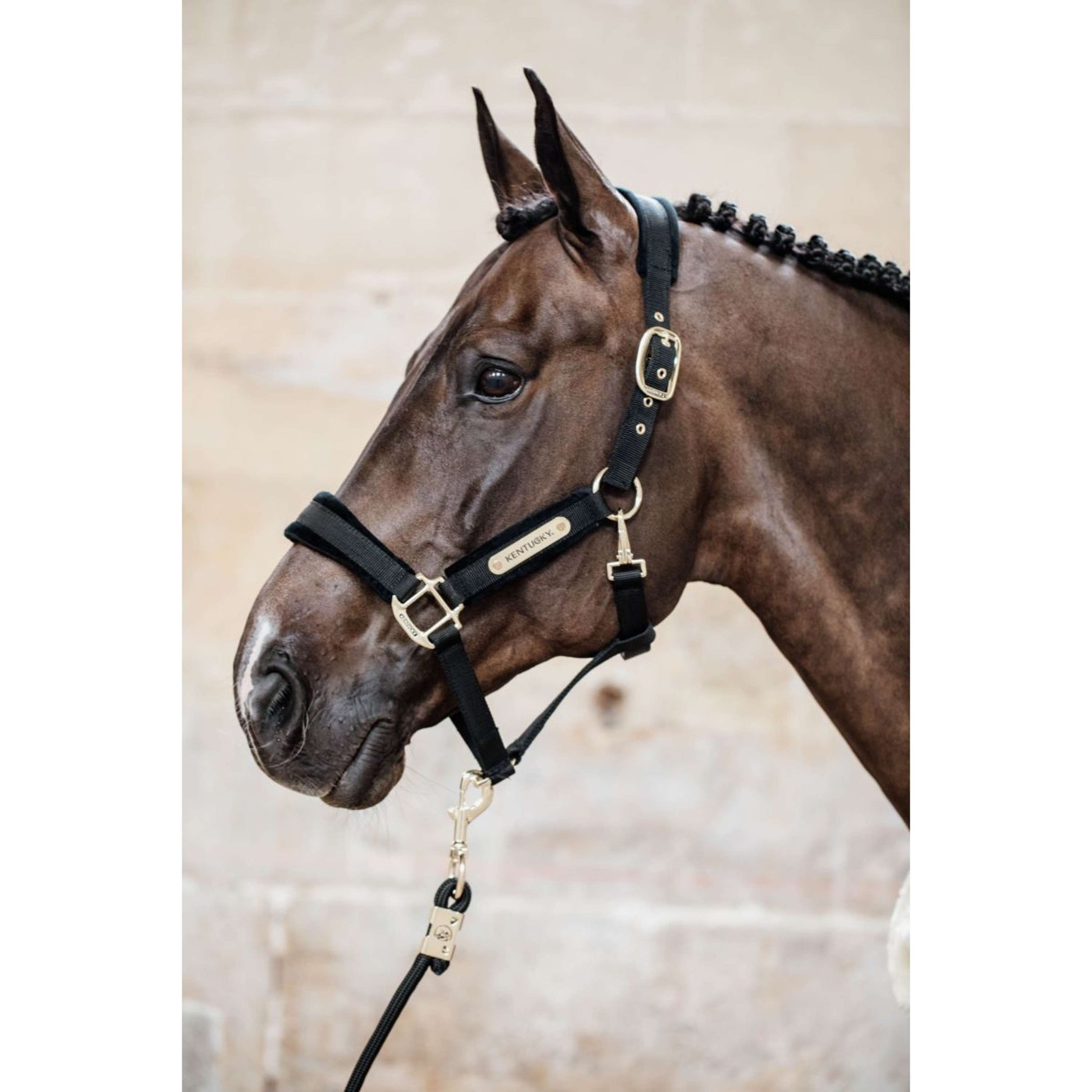 Kentucky Halster Velvet Zwart Kentucky Halster Velvet Zwart