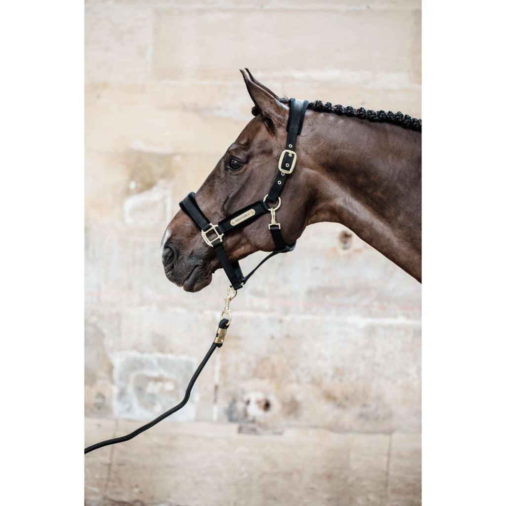 Kentucky Halster Velvet Zwart