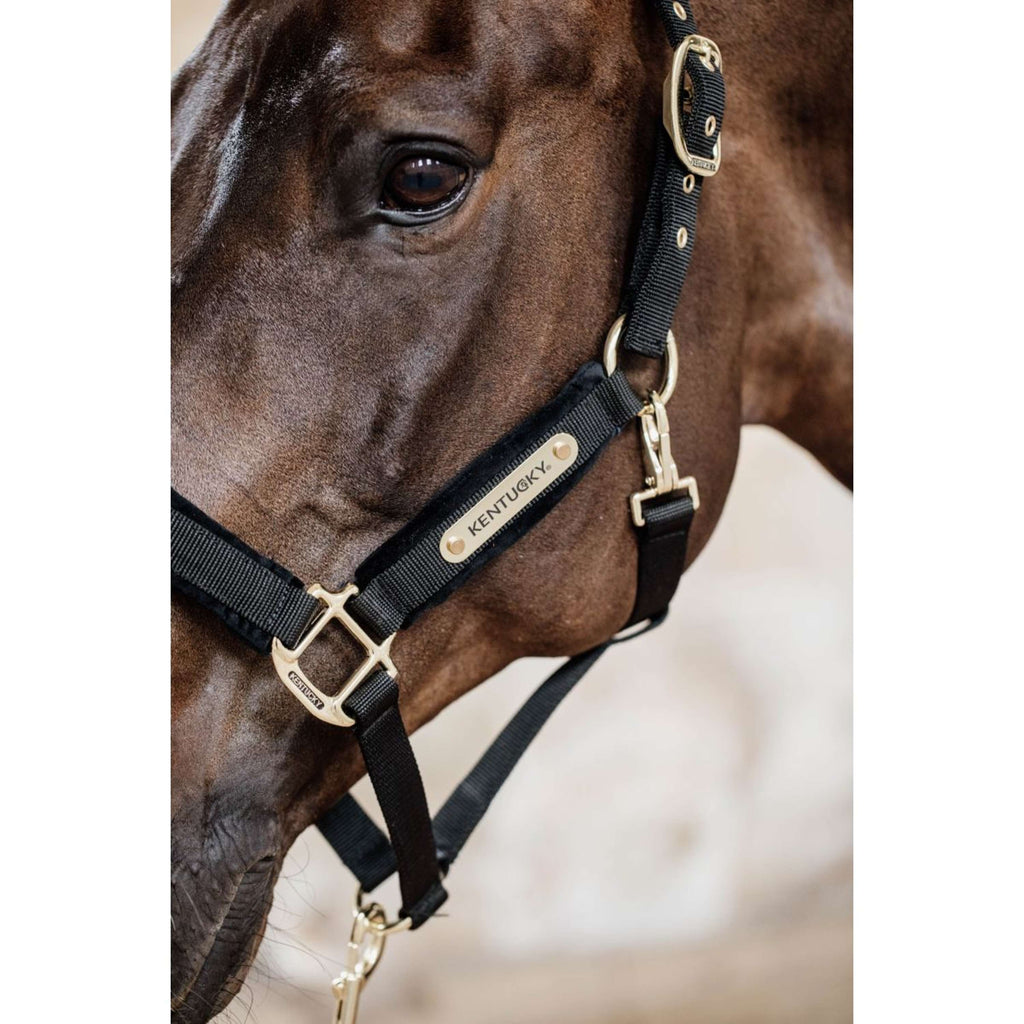 Kentucky Halster Velvet Zwart