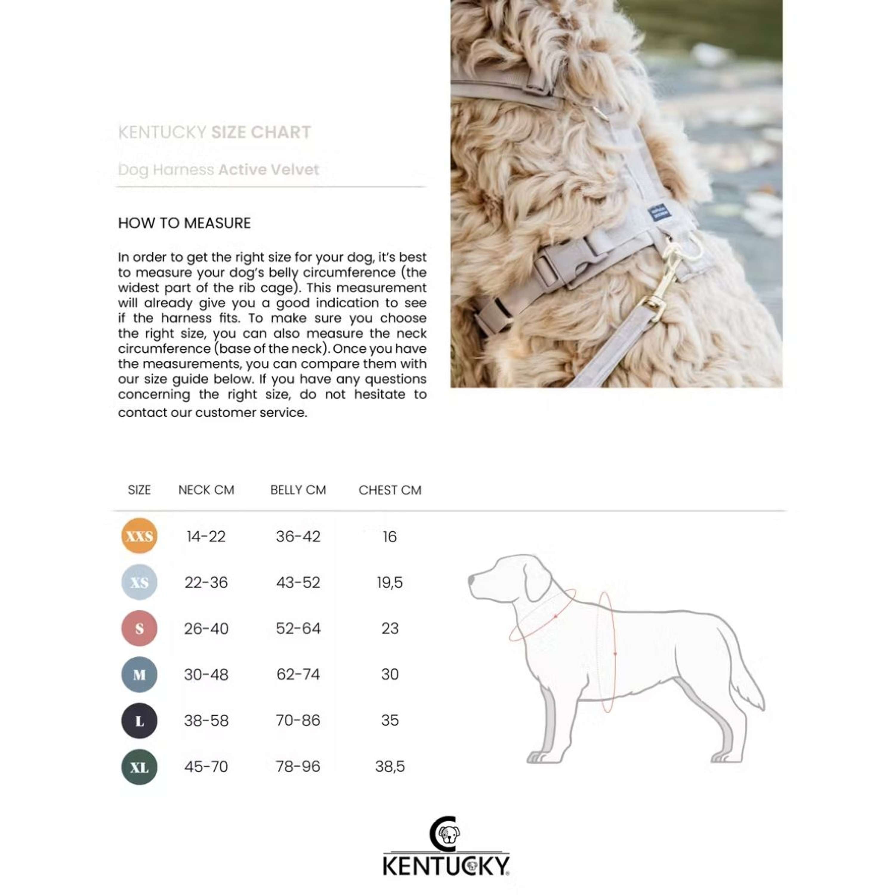 Kentucky Harnas Active Velvet Beige