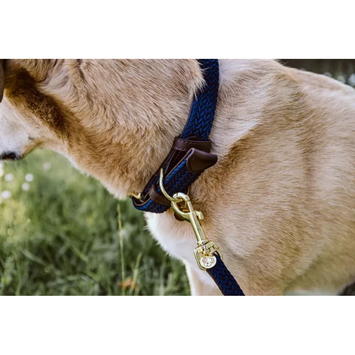 Kentucky Halsband Plaited Nylon Navy