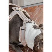 Kentucky Harnas Teddy Fleece Beige