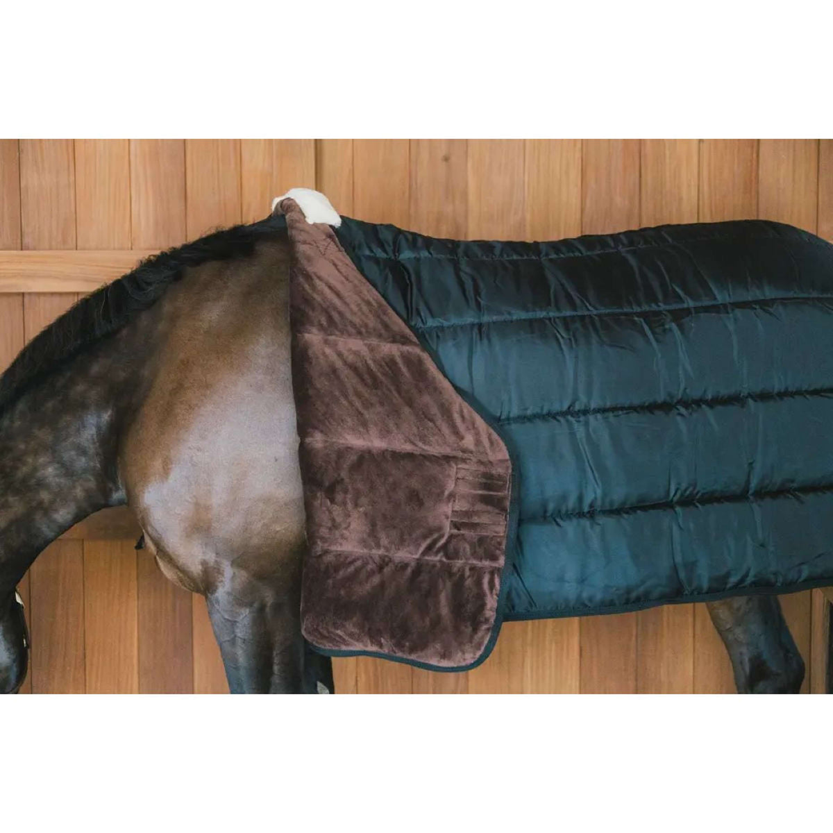 Kentucky Turnout Rug Comfort Liner Pro 300g Navy