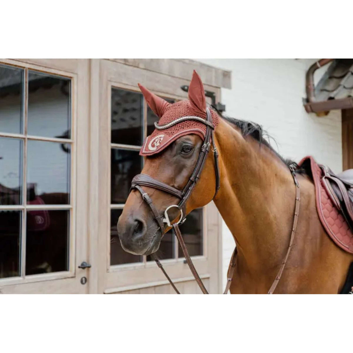 Kentucky Horsewear Oornetje Wellington 3D Logo Fuchisa