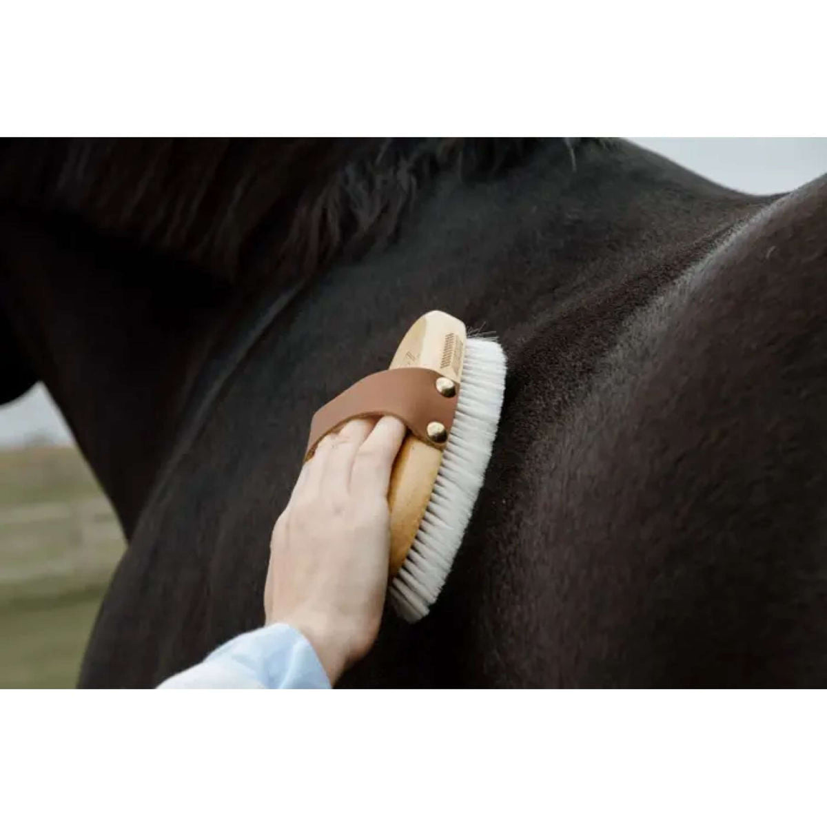 Kentucky Horsewear Borstel Soft