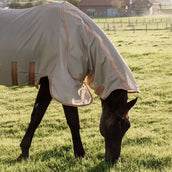 Kentucky Vliegendeken Comfort Mesh Beige/Oranje