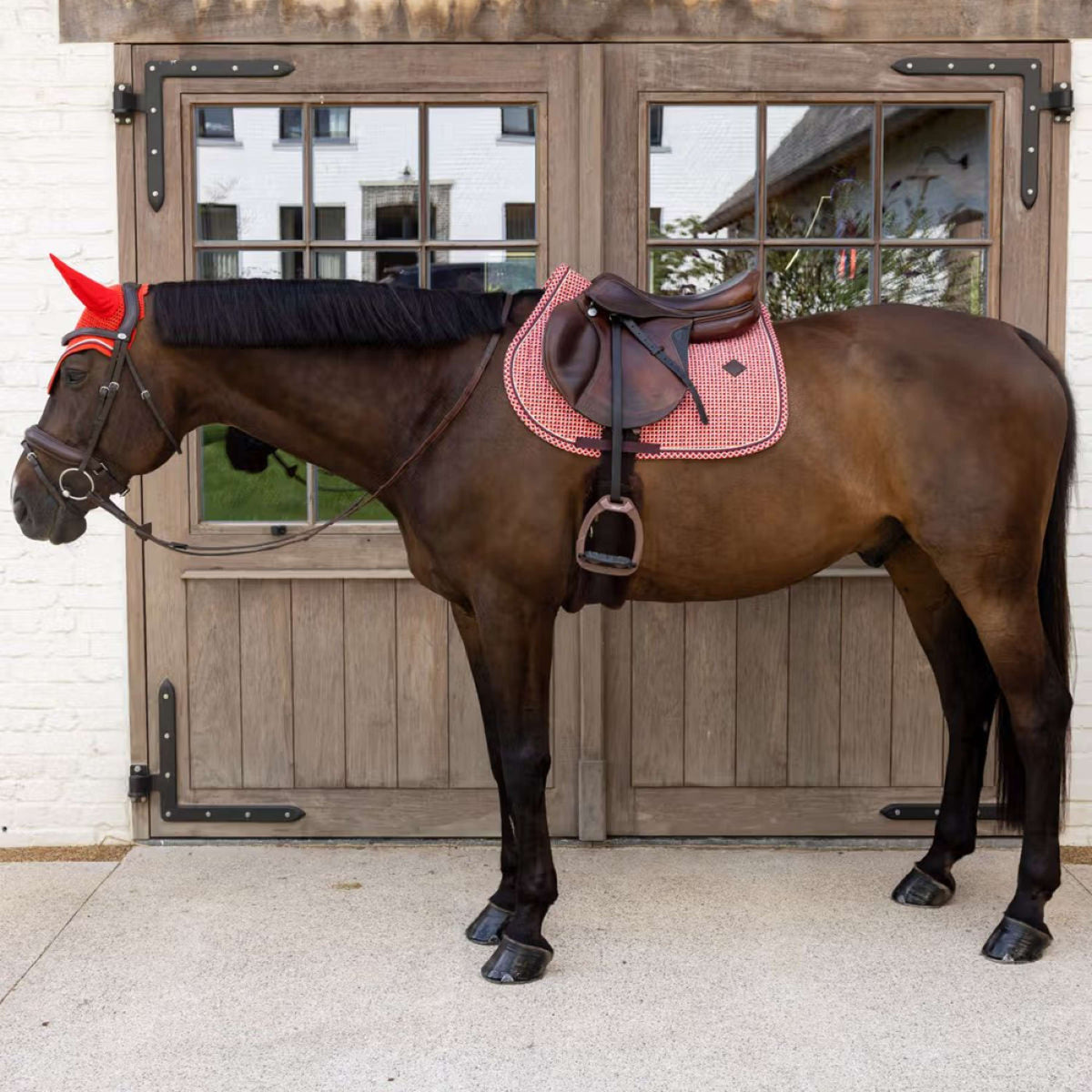 Kentucky Oornetje Wellington Velvet Check Paars