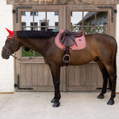 Kentucky Oornetje Wellington Velvet Check Paars