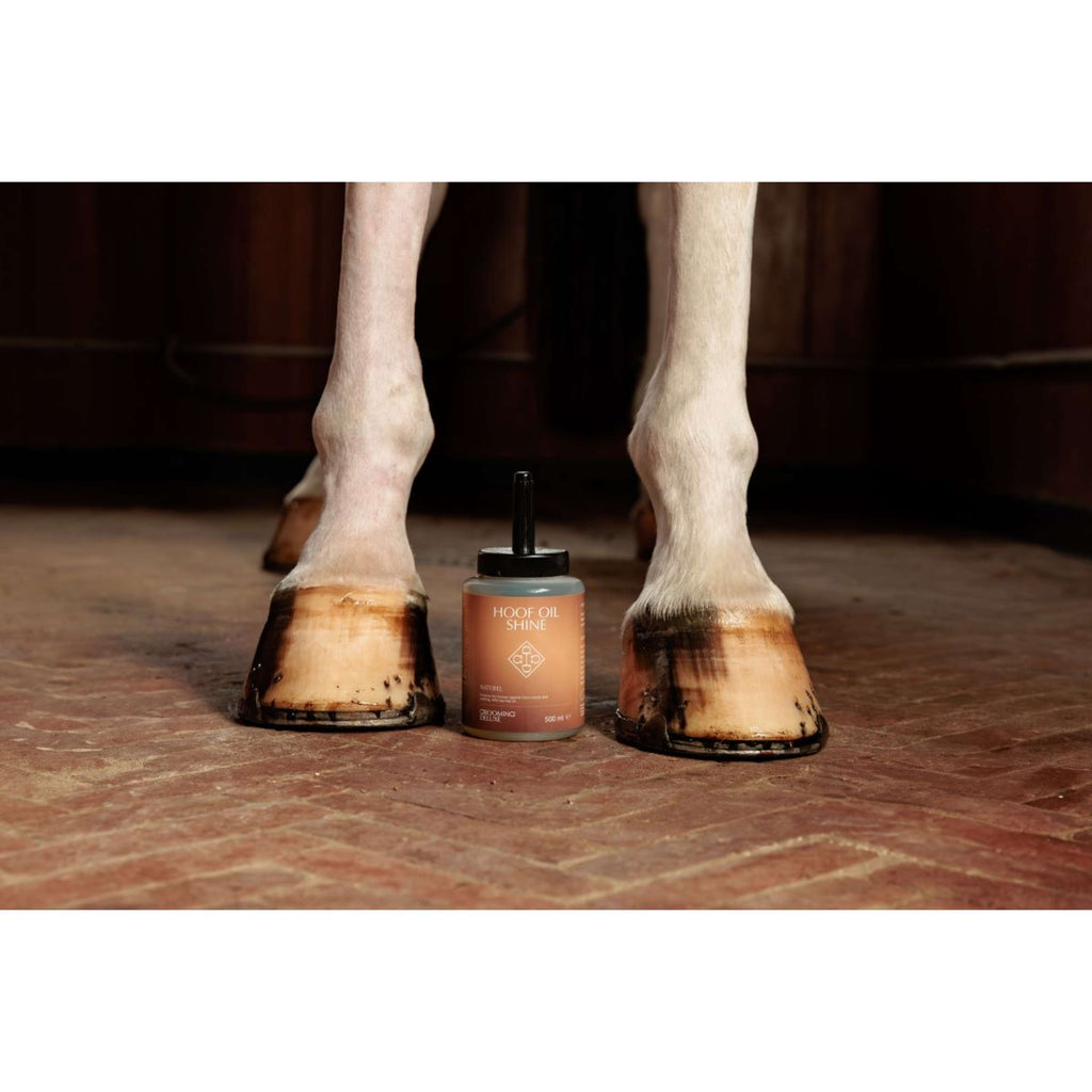 Grooming Deluxe by Kentucky Hoefolie Shine Naturel