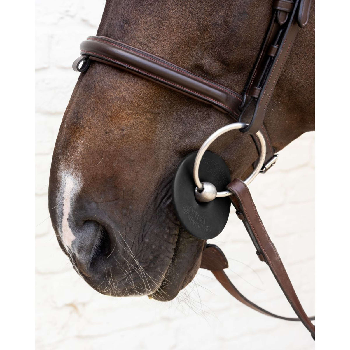 Kentucky Bitringen Bit Ring Zwart