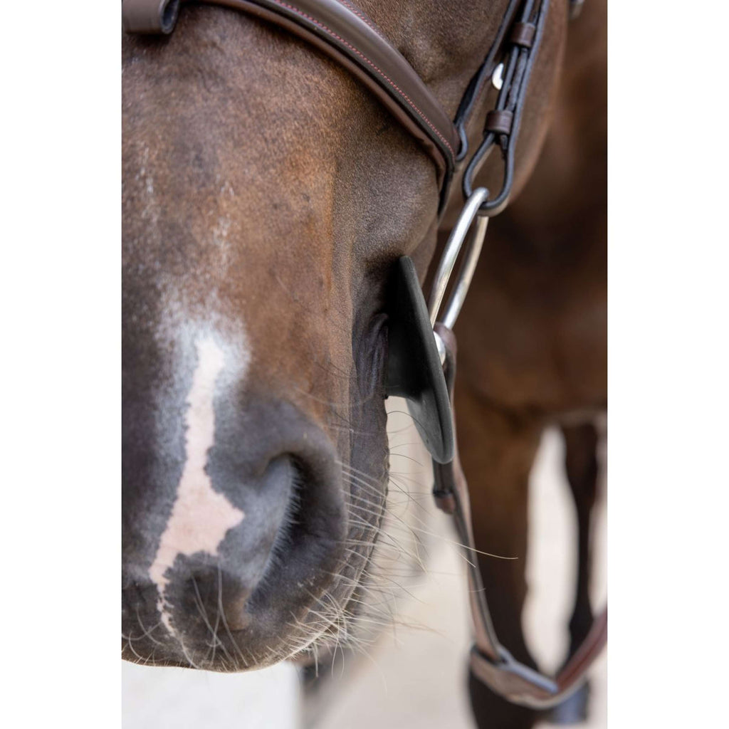 Kentucky Bitringen Bit Ring Zwart