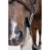 Kentucky Bitringen Bit Ring Zwart