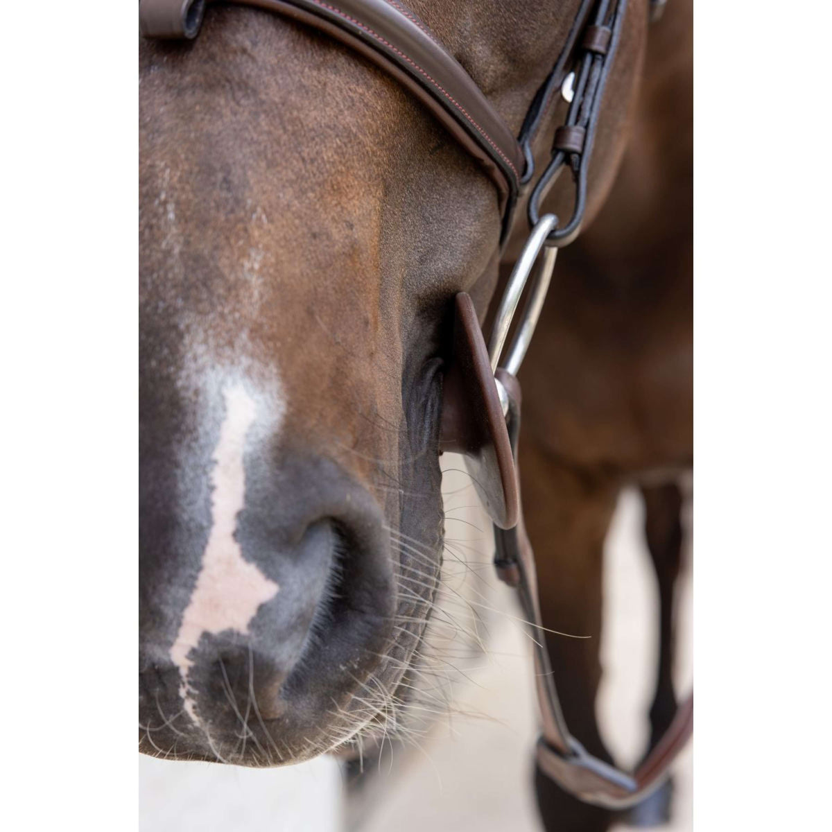 Kentucky Bitringen Bit Ring Bruin