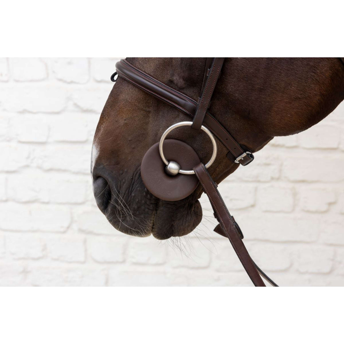 Kentucky Bitringen Bit Ring Bruin