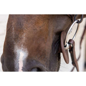 Kentucky Bitringen Bit Ring Bruin