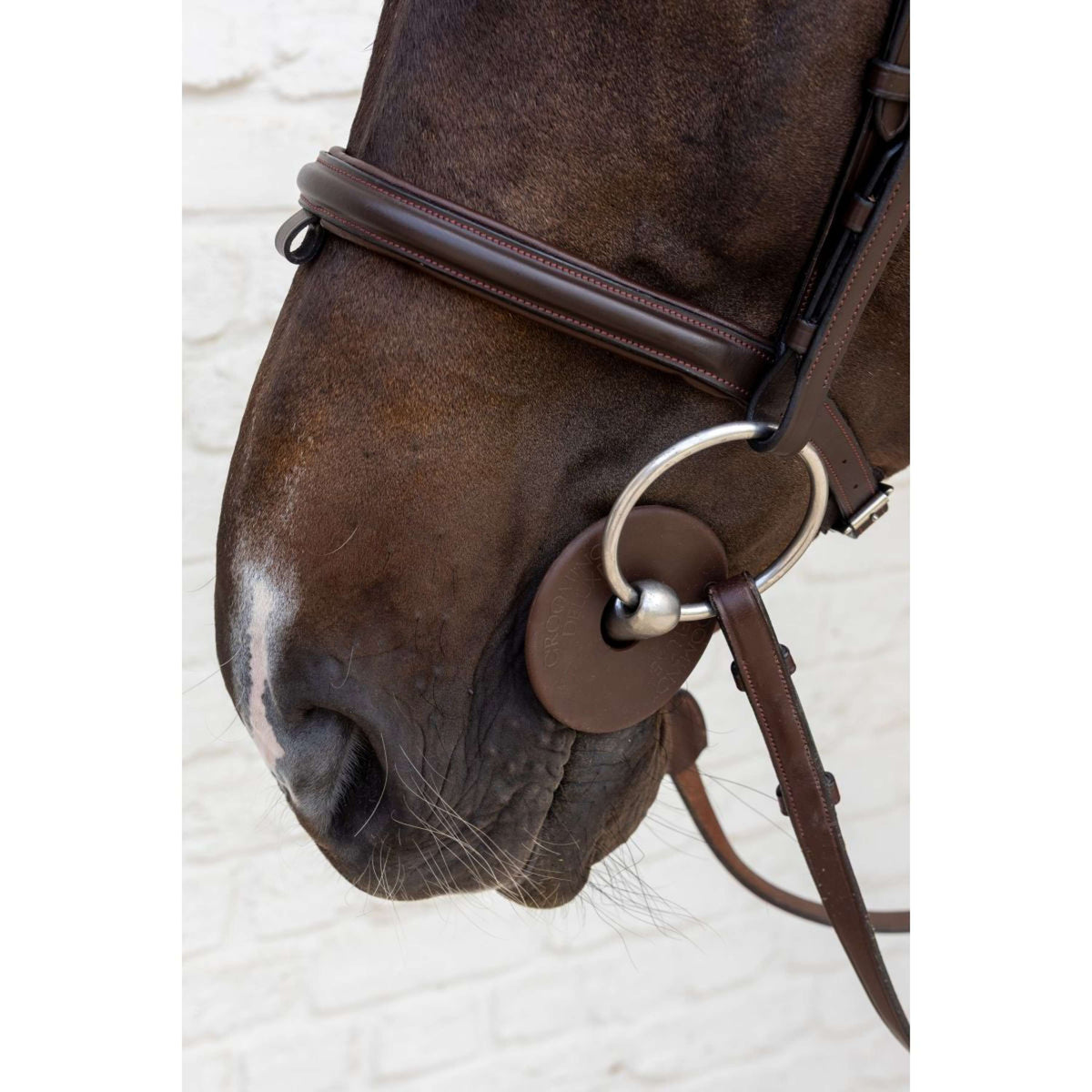 Kentucky Bitringen Bit Guard Bruin