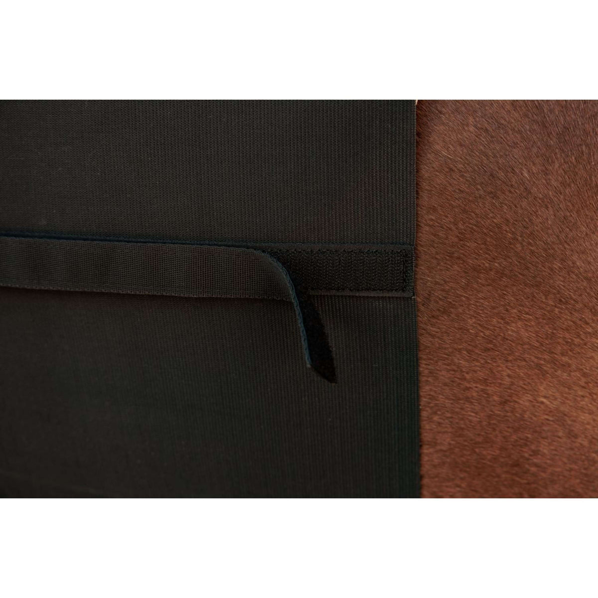 Kentucky Buikbeschermer Zwart