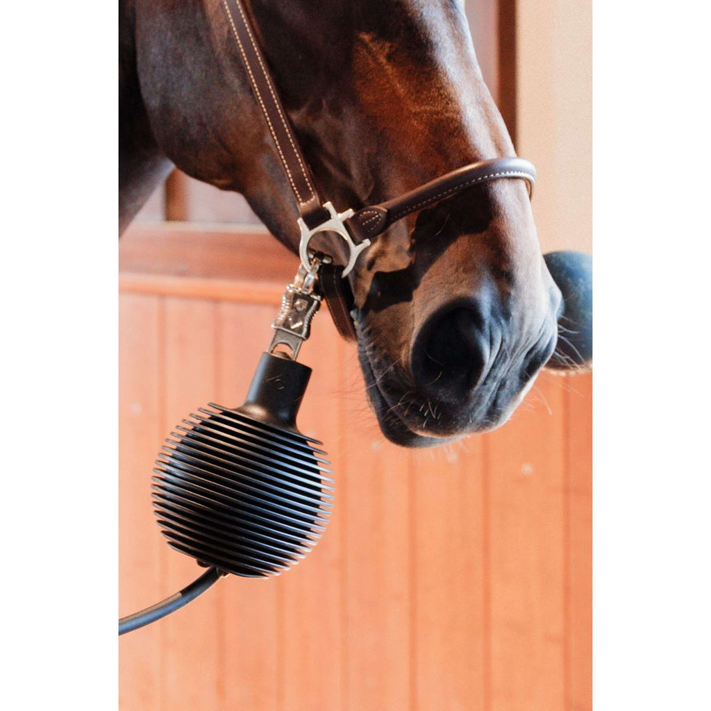 Kentucky Beschermingsbal Pro Rubber Zwart