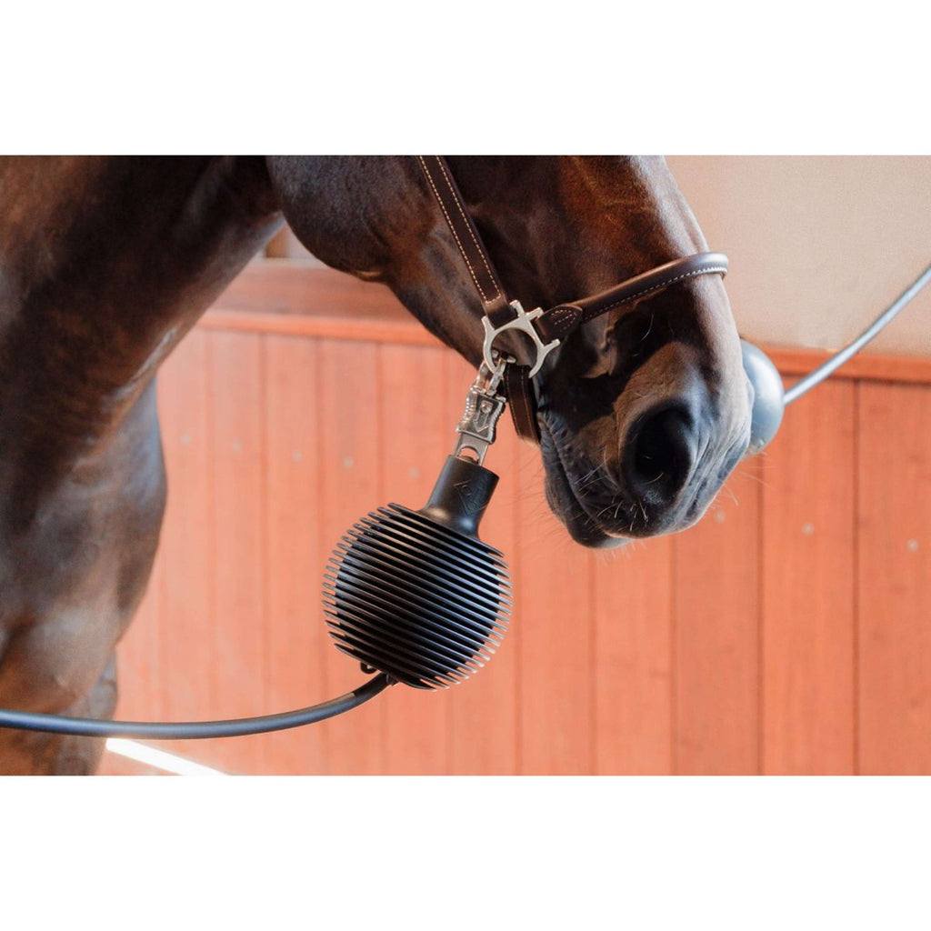 Kentucky Beschermingsbal Pro Rubber Zwart
