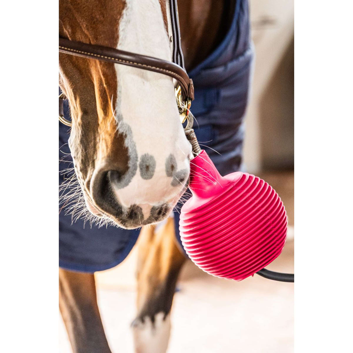 Kentucky Beschermingsbal Pro Rubber Roze