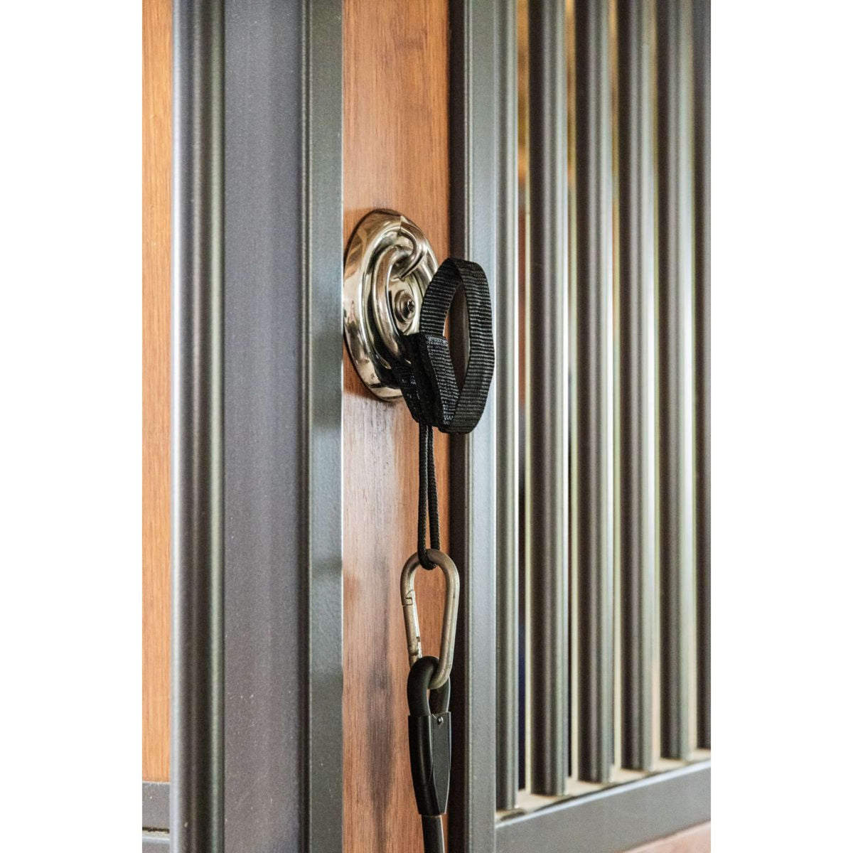 Kentucky Veiligheidsring Safety Zwart