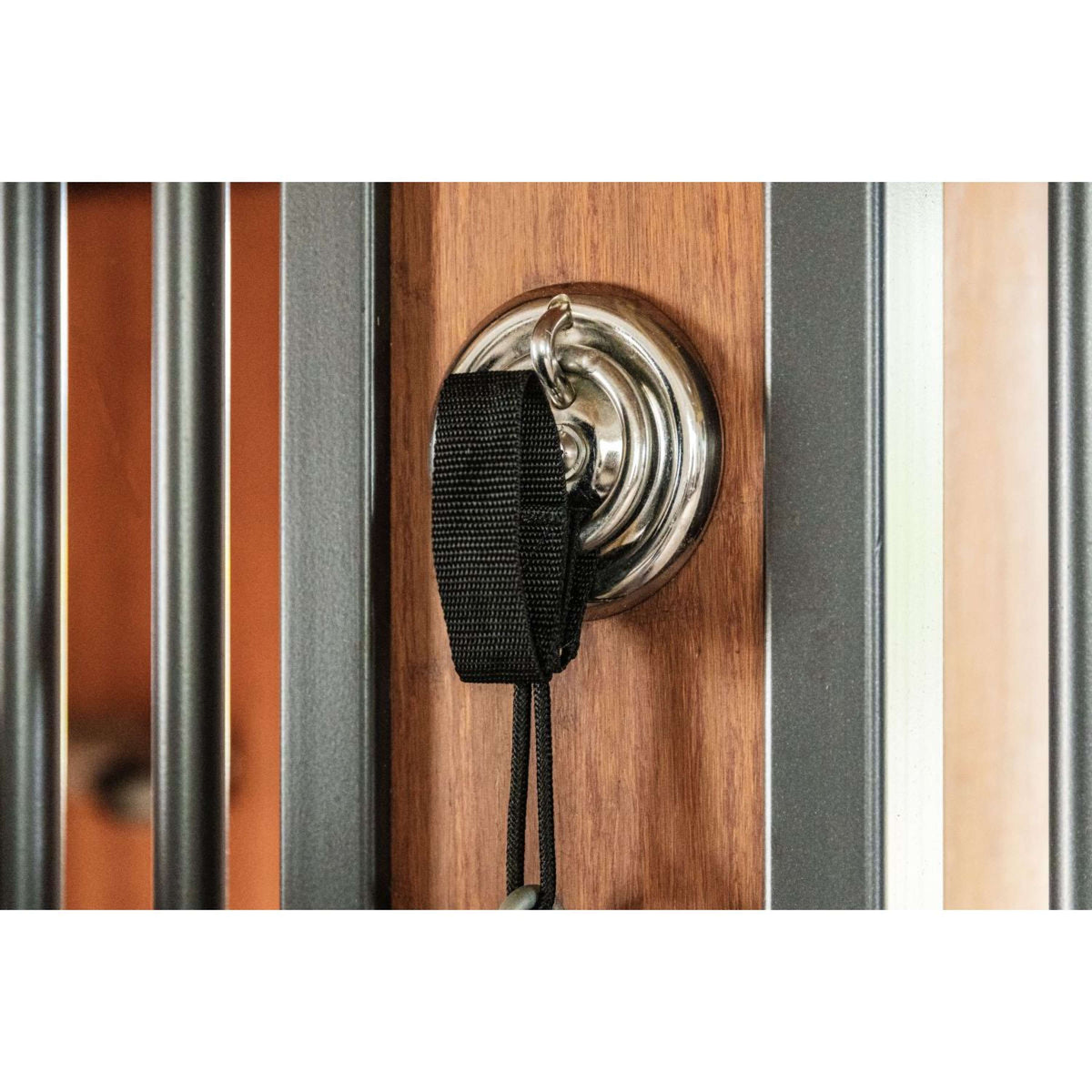 Kentucky Veiligheidsring Safety Zwart