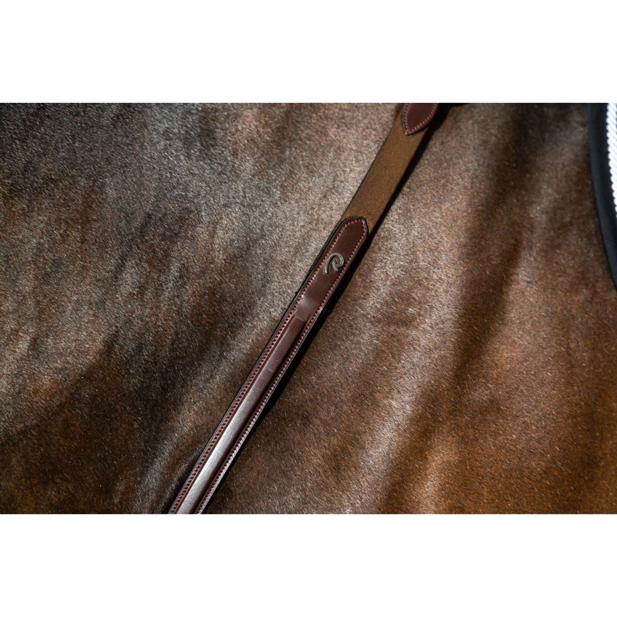 Dyon Borsttuig Bridge New English Collection Bruin