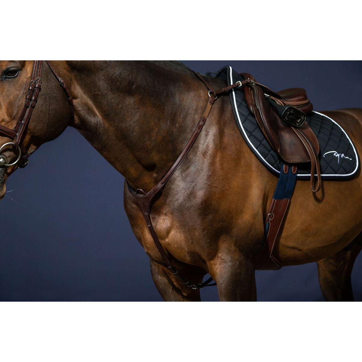 Dyon Borsttuig Bridge New English Collection Bruin