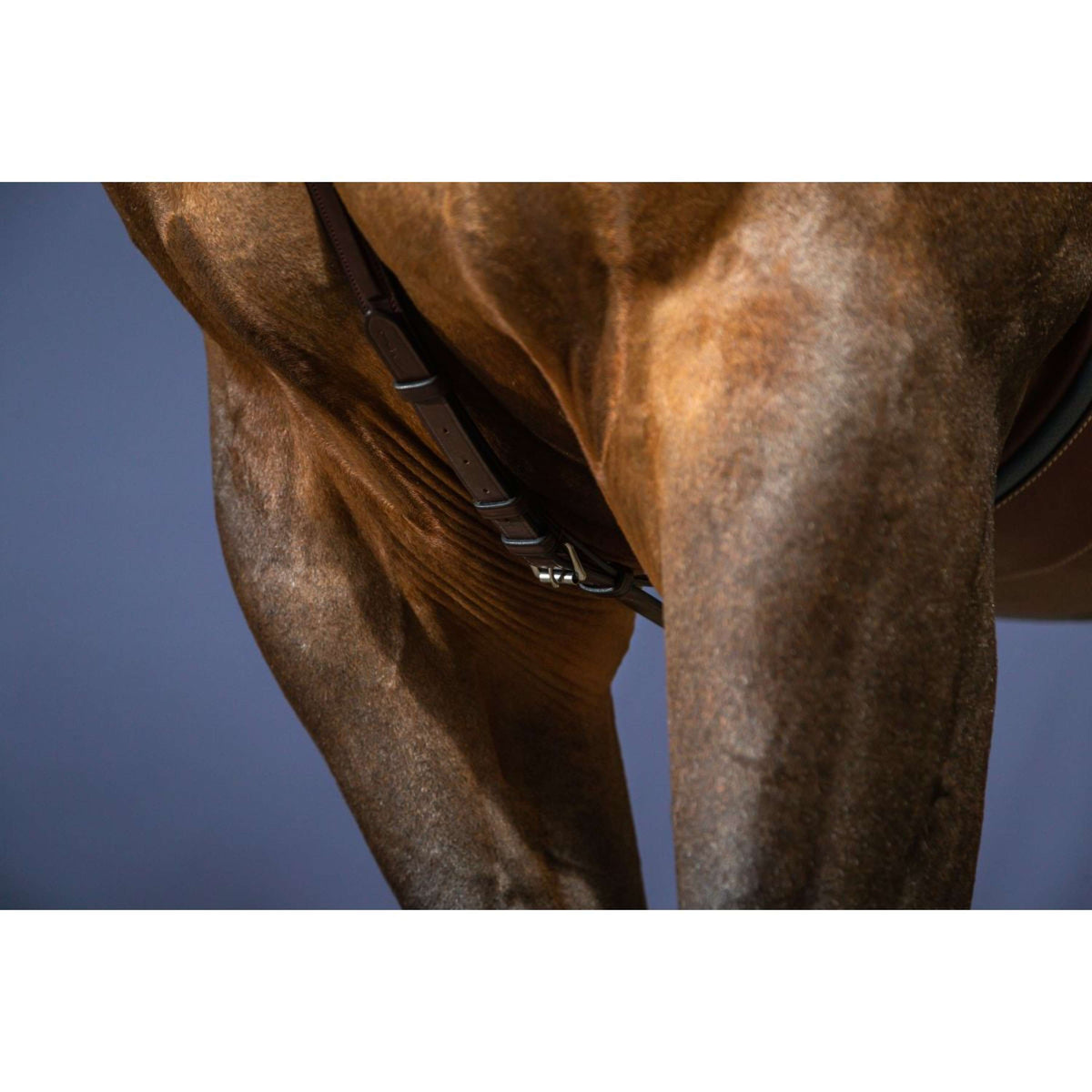 Dyon Borsttuig Bridge New English Collection Bruin