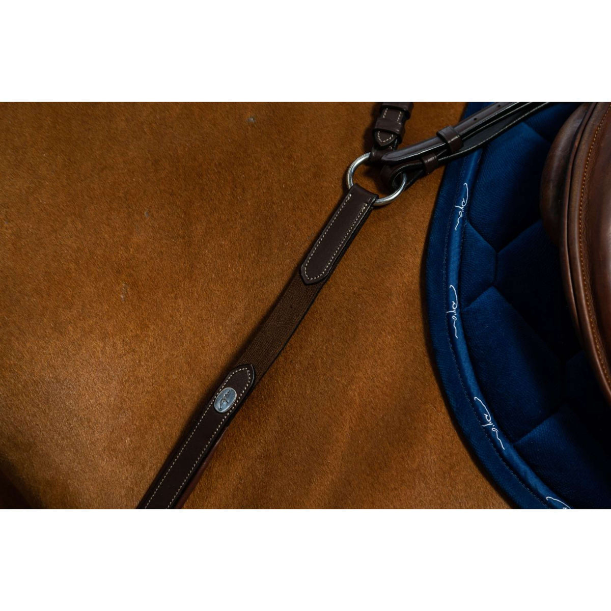 Dyon Borsttuig Bridge Working by Dyon Bruin