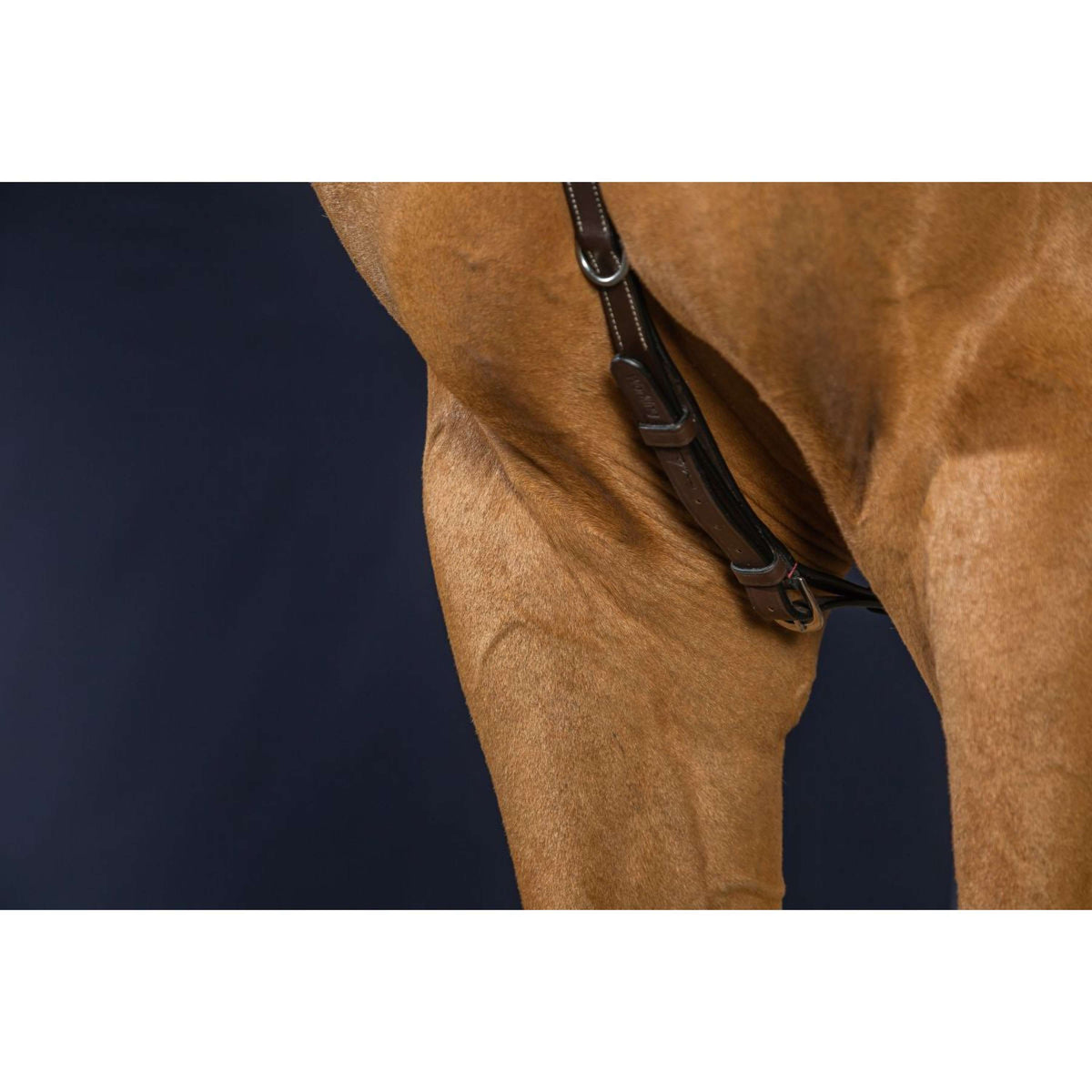 Dyon Borsttuig Bridge Working by Dyon Bruin