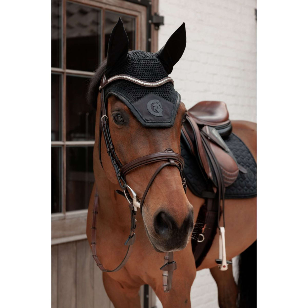 Kentucky Oornetje Wellington Sparkling Logo Zwart