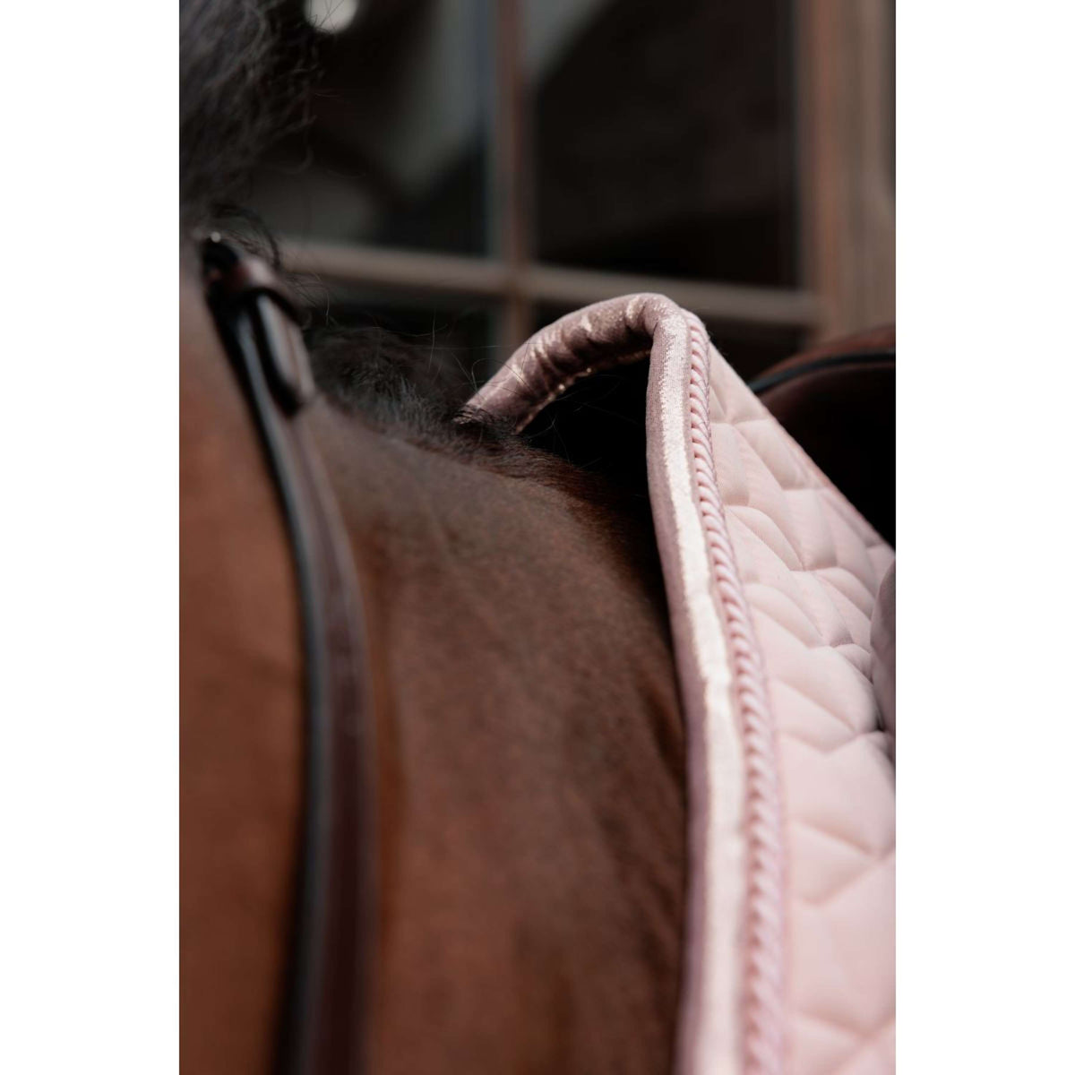 Kentucky Zadeldekje Sparkling Springen Old Rose