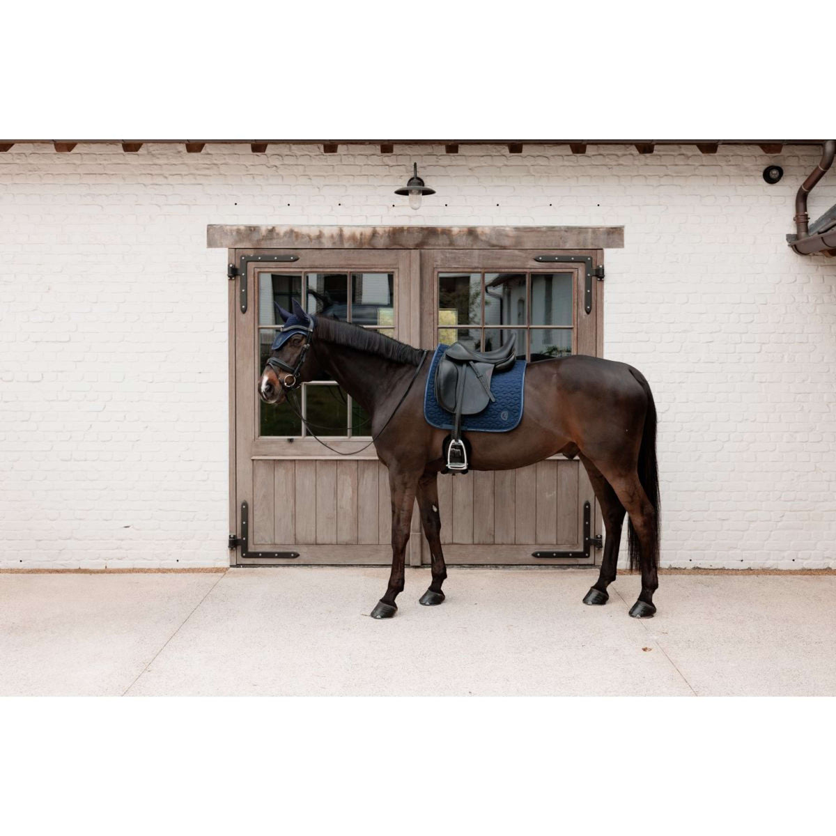 Kentucky Oornetje Wellington Sparkling Logo Navy