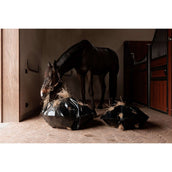 Grooming Deluxe by Kentucky Slow Feeder Play & Haybag Round