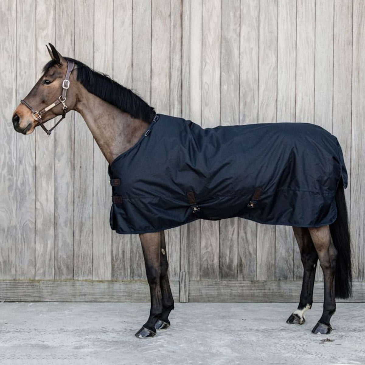 Kentucky Turnout Rug All Weather Waterproof Classic 0g Navy