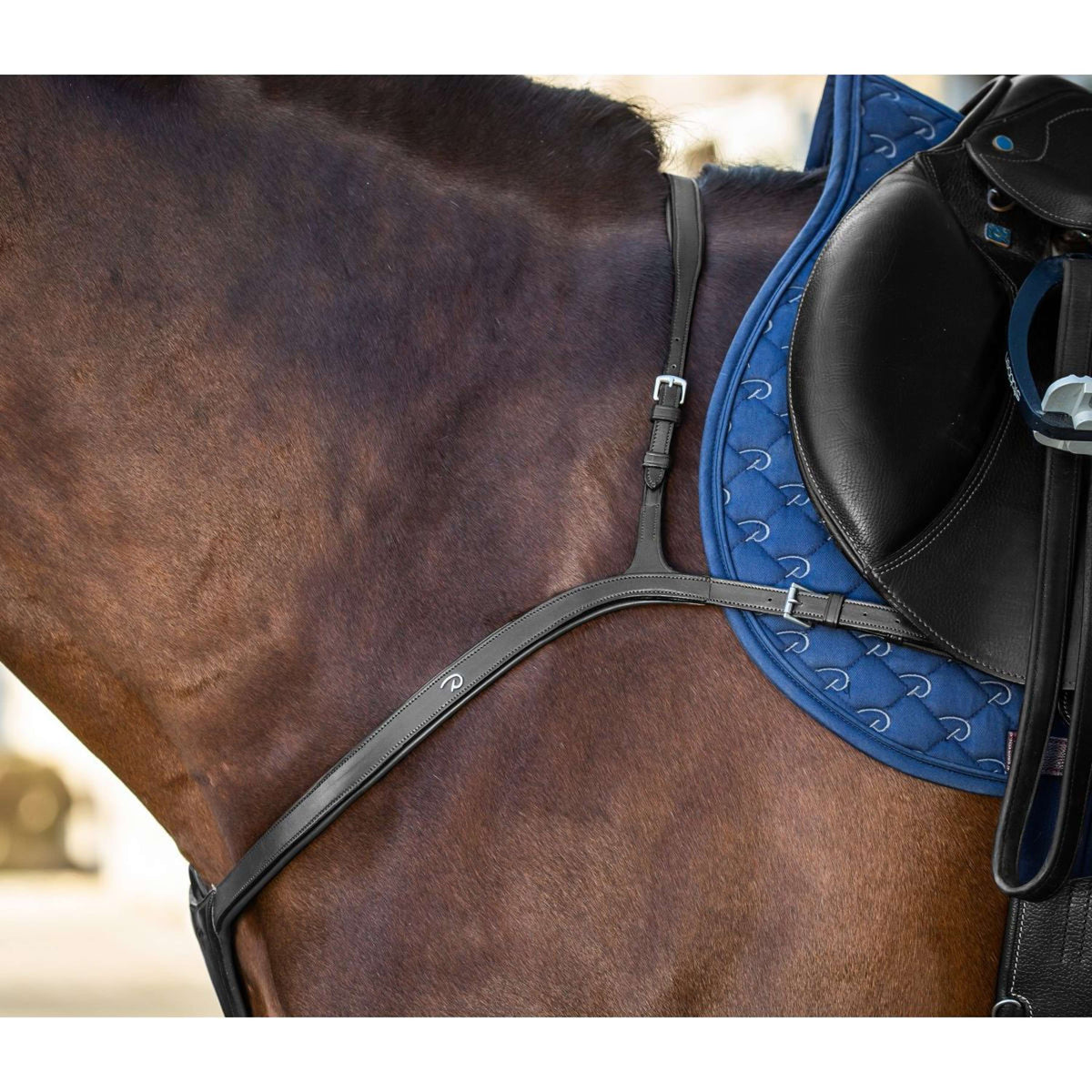 Dyon Borsttuig Long Bridge New English Collection Zwart