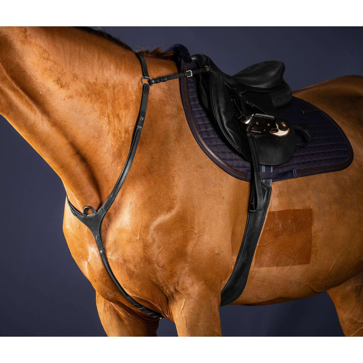 Dyon Borsttuig Bridge New English Collection Zwart