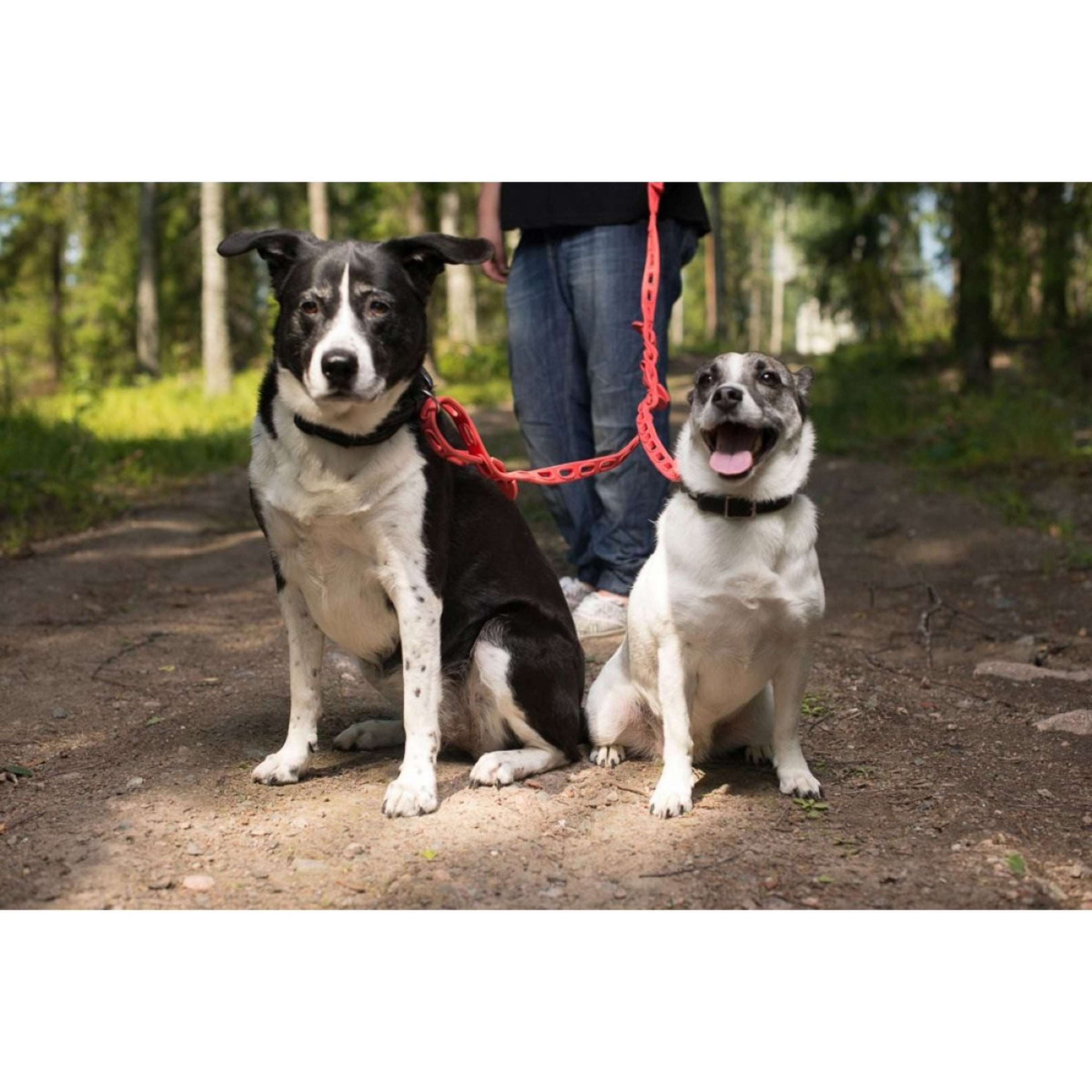 Kerbl Rubberband Strap Kerbl Rubberband Strap