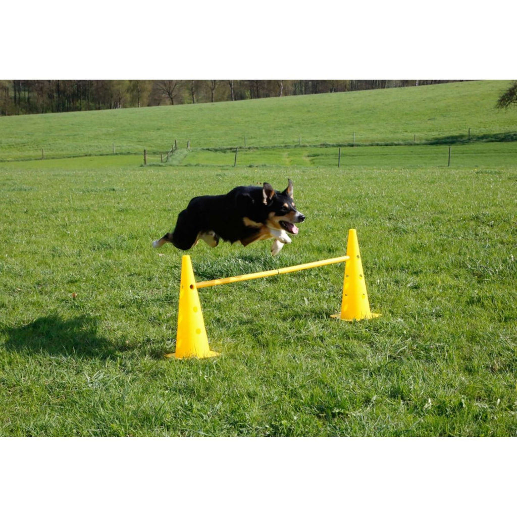 Kerbl Agility Pylon Set 3 Opstakels Rood/Geel