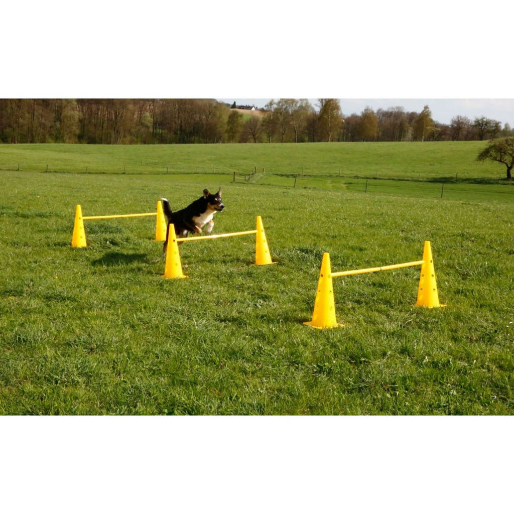 Kerbl Agility Pylon Set 3 Opstakels Rood/Geel