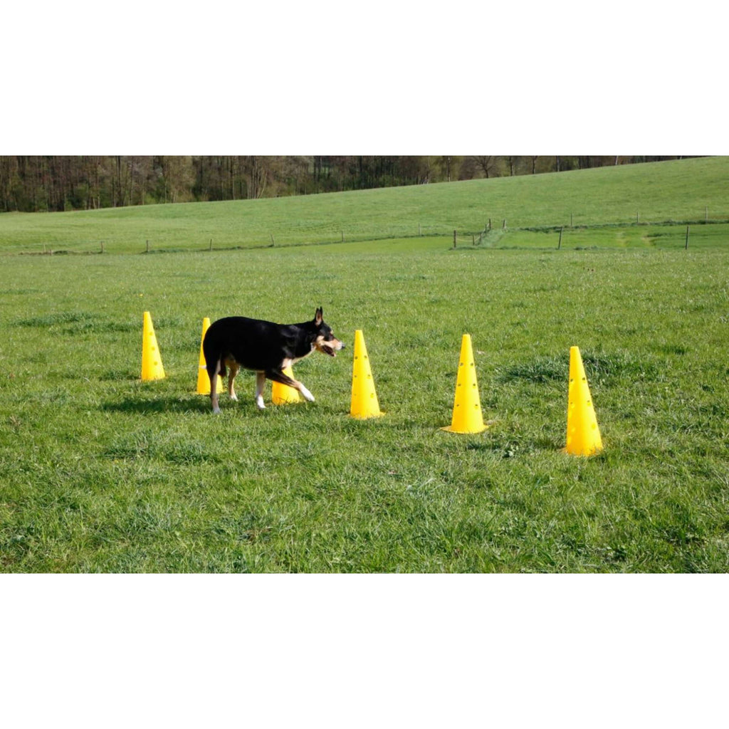 Kerbl Agility Pylon Set 3 Opstakels Rood/Geel