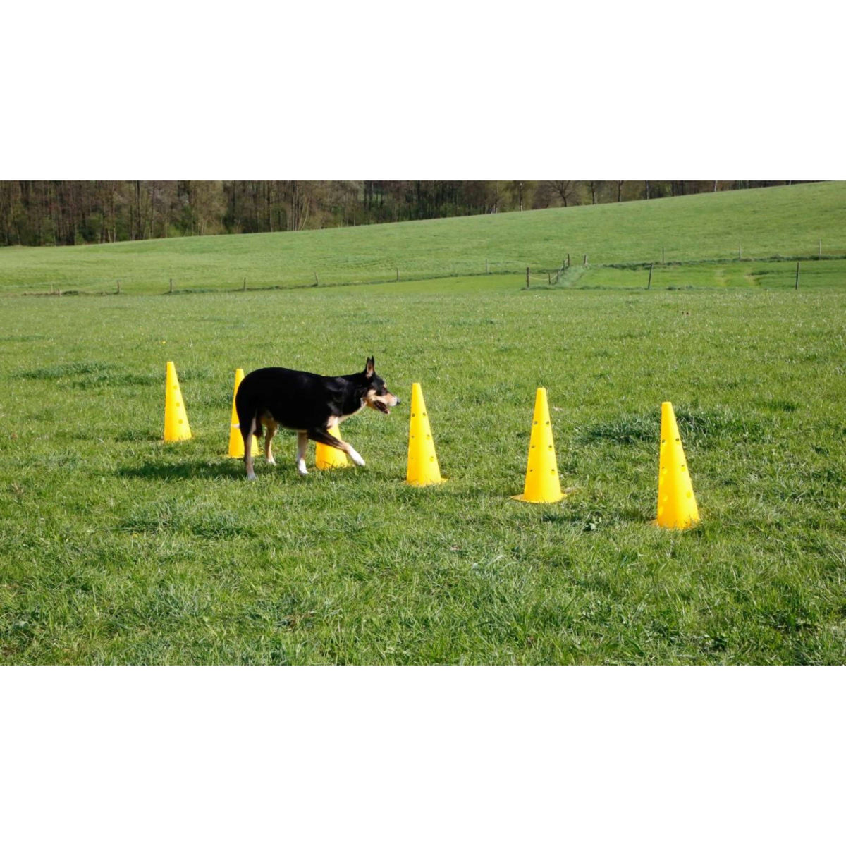Kerbl Agility Pylon Set 3 Opstakels Rood/Geel