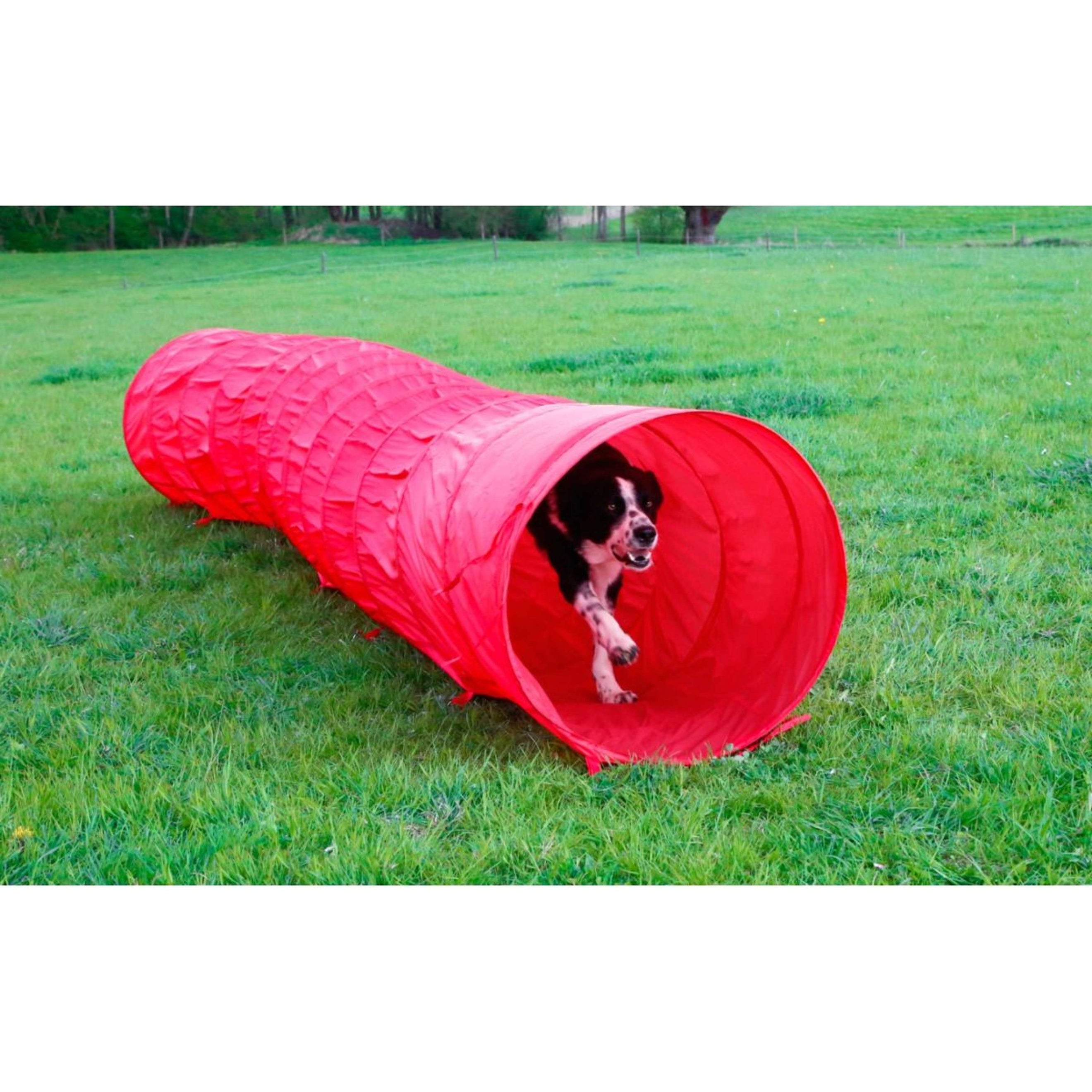 Kerbl Agility Hondentunnel Rood Kerbl Agility Hondentunnel Rood