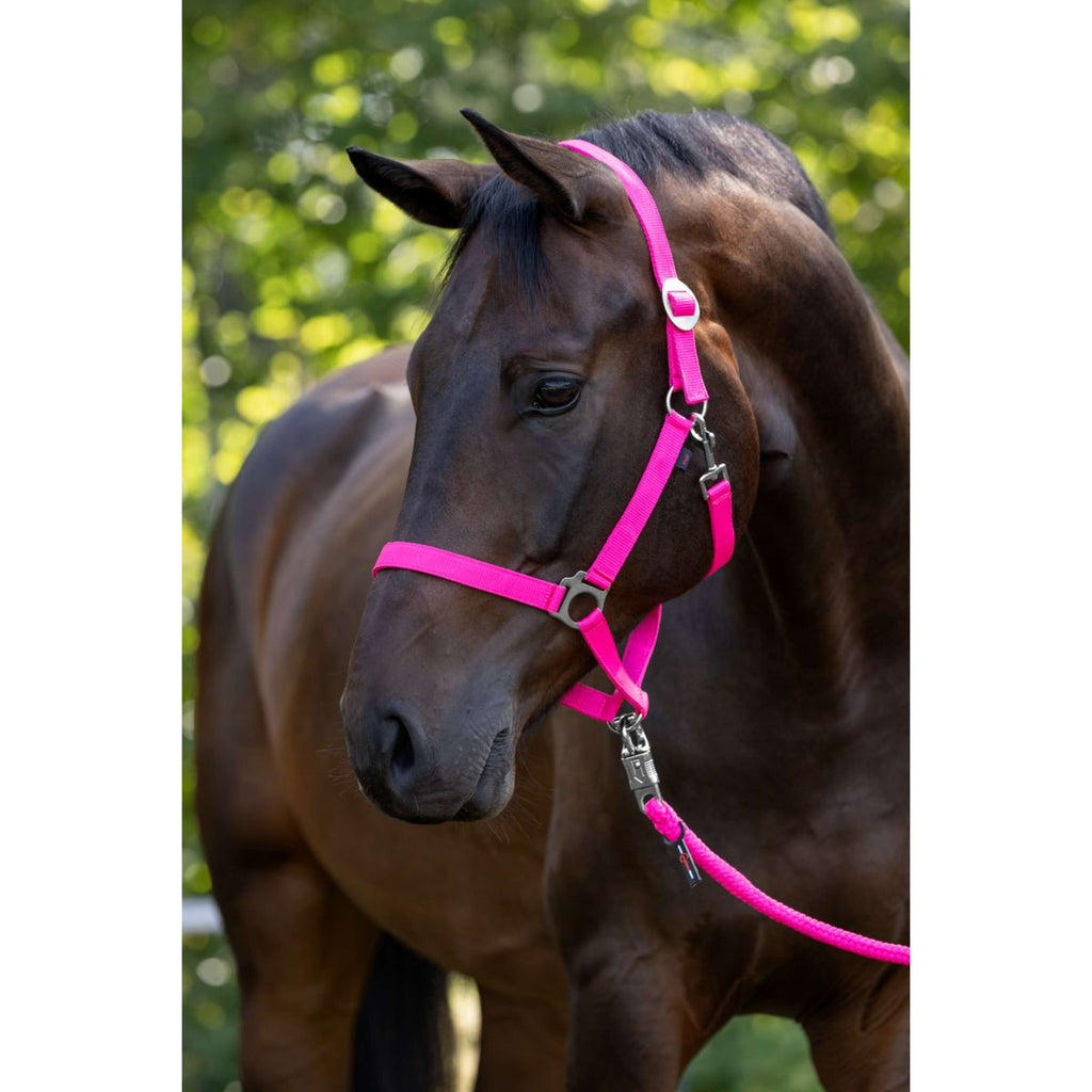 Covalliero Halster Hippo Roze