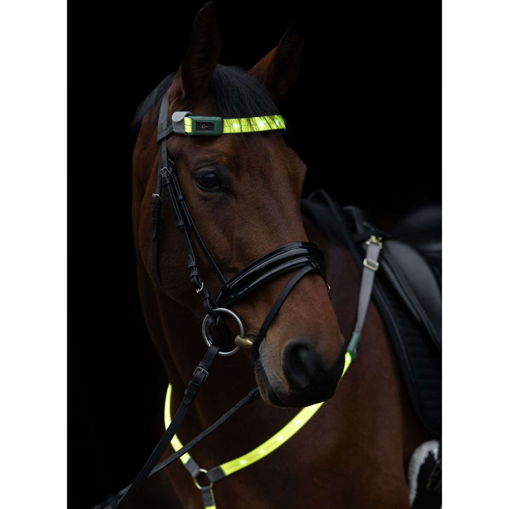 Covalliero Frontriem Led Reflectie