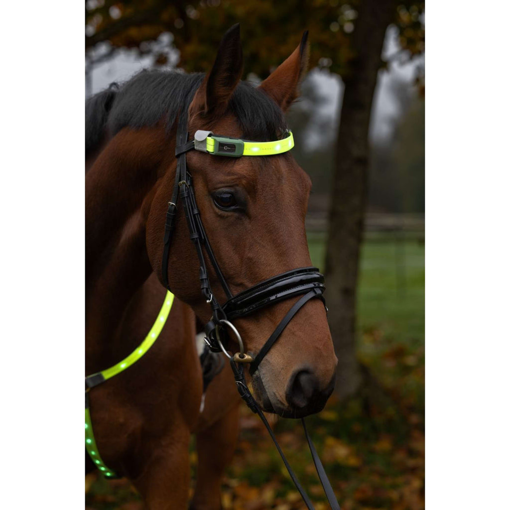 Covalliero Frontriem Led Reflectie