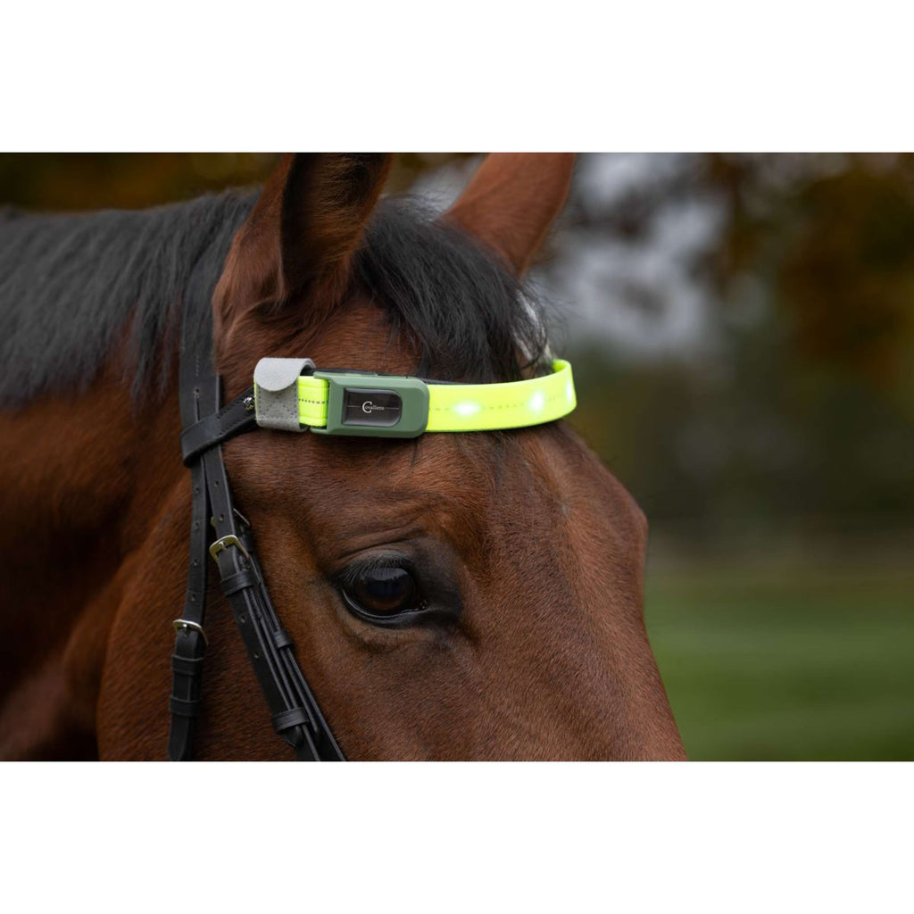 Covalliero Frontriem Led Reflectie