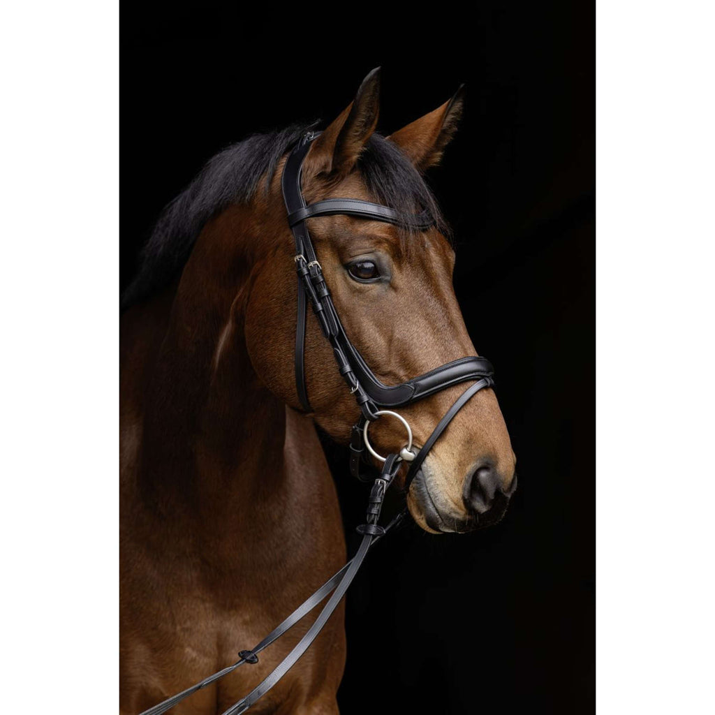 Covalliero Hoofdstel Anatomic Zwart