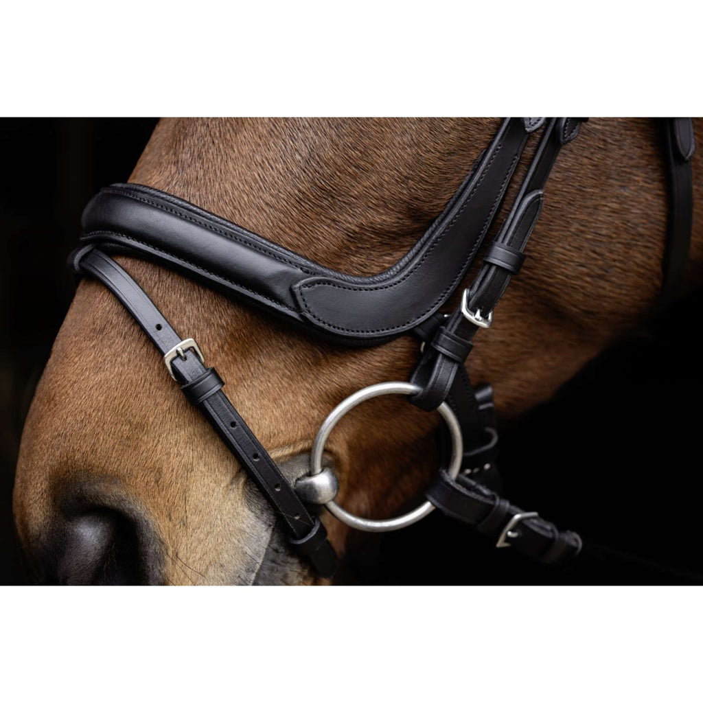 Covalliero Hoofdstel Anatomic Zwart